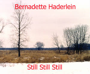 Bernadette Haderlein's Still Still Still.jpg